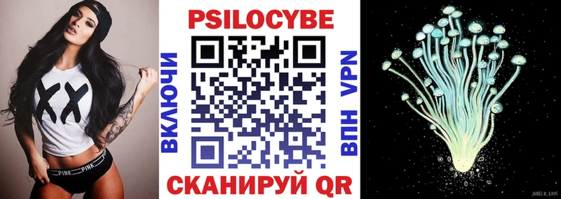 Псилоцибиновые грибы Psilocybe  ссылка на мегу зеркало  Соль-Илецк  наркота 